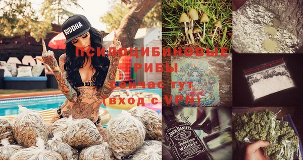 меф Ладушкин