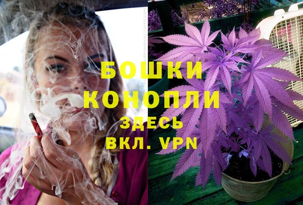 меф Ладушкин