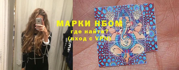 ПСИЛОЦИБИНОВЫЕ ГРИБЫ Кулебаки