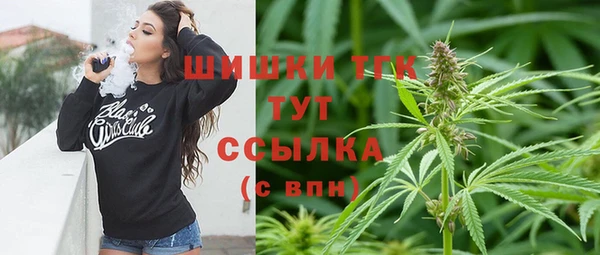 PSILOCYBIN Лабытнанги
