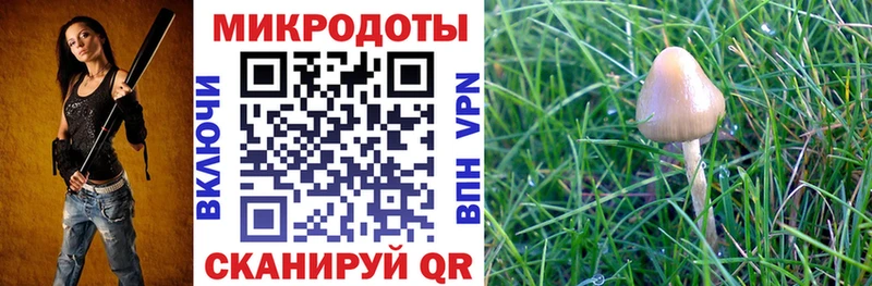 ссылка на мегу ONION  Подпорожье  Псилоцибиновые грибы MAGIC MUSHROOMS  цены  